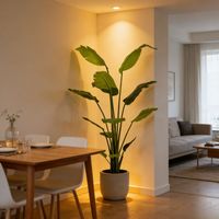 Meilleures ventes : Palmier artificiel réaliste de type bananier, 165 cm, de qualité supérieure, pour la décoration d'angle de maison ou de bureau moderne