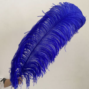 Besar 70-75 cm dicelup bulu burung unta halus pola diputihkan untuk kostum karnaval & Showgirl hiasan kepala aksesoris - Product Image 1