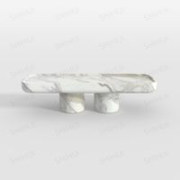 SH STONE personnalisé pierre naturelle surface polie Unique sculpté Design luxe rectangulaire décor à la maison basse table basse en marbre blanc