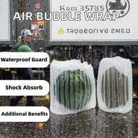 Sacs d'emballage gonflables ECOBAG en film à bulles d'air imperméable pour la pastèque, réduisant les pertes pendant le transport