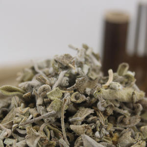 Shu Wei Cao سائبة أوراق حكيم أبيض نقي أوراق ملطخة مجففة أوراق حكيم للبيع - Product Image 4