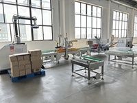 Palettiseur robot de haut niveau 20kg ligne d'emballage Cobot de palettisation machine d'empilage