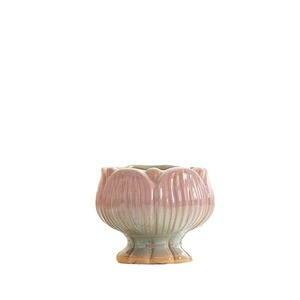 Vaso in ceramica per piante grasse con petali sfumati creativi, colorato, semplice, traspirante, lucido, piccolo vaso in stile nordico. - Product Image 5