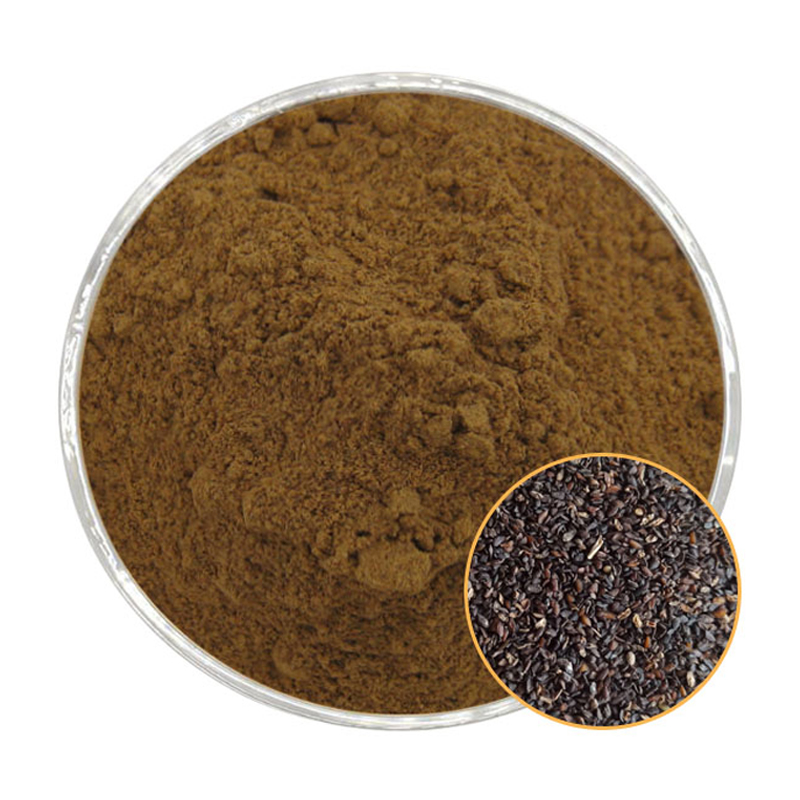 Plantain Seed Extract Powder 10:1, 20:1, 30:1; Water-soluble Spray-dried Powder, Ratios Vary.Herbal Extract. Plant Extract
