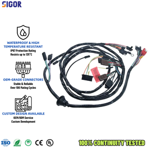 Su geçirmez özel otomotiv kablosu koşum fabrika imalatı özelleştirilmiş otomotiv kablosu montaj - Product Image 1