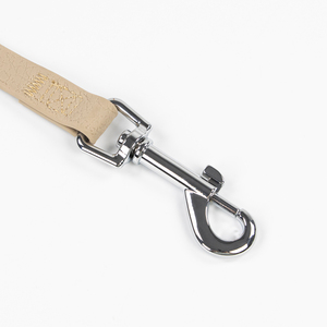 Toptan Fabrika Üretimi Yeni Çevre Dostu Lüks Su Geçirmez PVC Eğitim Köpek Tasması RIBBONS AltraPet Marka Kullanışlı - Product Image 5