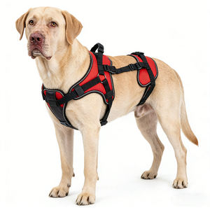 Arnés de elevación para perros con asas para lesiones de LCA, perros discapacitados o mayores, ayuda para caminar, chaleco de elevación ajustable para mascotas - Product Image 1