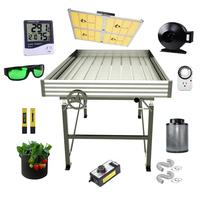 Multi Span Greenhouses Structure Growing Systems Equipment