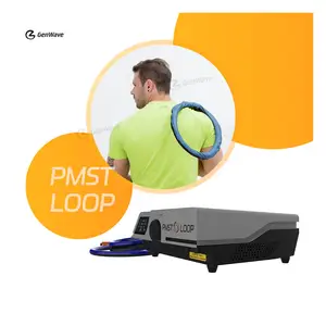 Máquina PEMF para fisioterapia de mesa PMST Loop para reabilitação