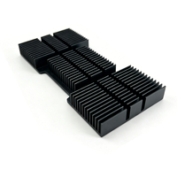 Radiateur en aluminium extrudé noir anodisé à ailettes verticales longues avec plaque de pressage de positionnement pour applications industrielles