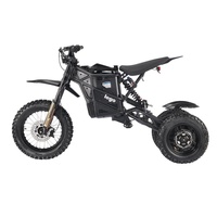 TriRaven 3000W Trike électrique tout-terrain à double moteur 60V 40Ah Trike électrique tout-terrain à vitesse maximale de 60 km/h E Trike