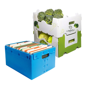 Cassette di Stoccaggio in Plastica Ondulata in Vendita, Contenitori in <span class=keywords><strong>Cartone</strong></span> Ondulato Personalizzabili in Dimensioni e Colore - Product Image 1