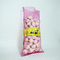 Hete Aanbieding Normale Witte Knoflook Hoge Kwaliteit Mesh Zak voor Groothandel Peru Markt