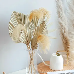 Groothandel Gedroogde Bloemen Gedroogde Palmbladeren Natuurlijke Waaierbladeren Boho-Stijl Decor Gedroogde Bloemen Palmblad Trouwarrangementen