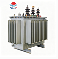 Transformateur à alliage amorphe SH15 triphasé 10 kV 315 kVA, résistant aux intempéries, à deux enroulements, ONAN, entièrement étanche pour lignes de production