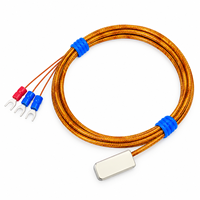 Sonde de température Pt100 à adsorption magnétique, tête de détection de surface, type patch d'aspiration, OEM, indice de protection IP65, garantie 1 an