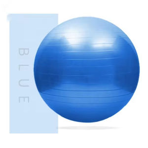 Preço de Atacado Bola de Yoga PVC Anti-Ruptura para Exercícios 45cm 55cm 65cm 75cm 85cm Vários Tamanhos - Product Image 6