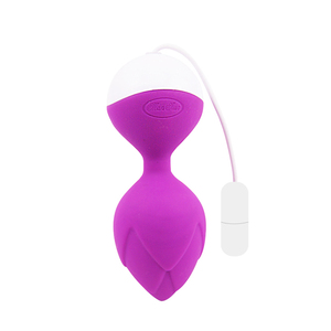 Exerciceur de Kegel magnétique sans fil à commande USB, rechargeable, pour le plancher pelvien, avec application, étanche, en silicone, billes vaginales - Product Image 6