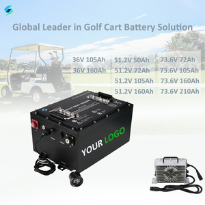 Batería para Carro de Golf en Oferta, 48v 100ah 105ah 56ah, Batería para Carro de Golf de 36v, Batería para Carro de Golf de 51.2V 105ah - Product Image 1