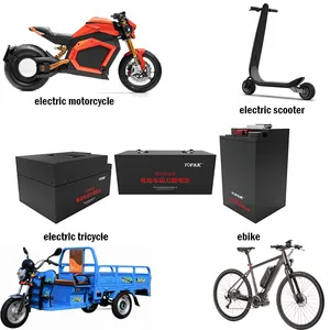 TOPAK 48V 20Ah batteria Ebike City bicicletta elettrica RVs batterie da crociera navi batterie agli ioni di litio 48v