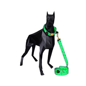 Collar de perro de nailon recargable por USB, luz <span class=keywords><strong>LED</strong></span>, estampado personalizado, correa de perro intermitente luminosa ajustable de lujo que brilla en la oscuridad - Product Image 1