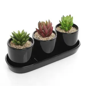 Black Succulent Plant Holder Display