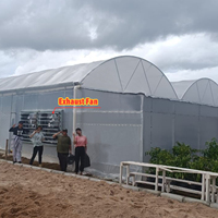 Serre hydroponique multi-chapelles à grande structure, galvanisée à chaud, avec filet d'ombrage noir pour l'agriculture en zones tropicales, contrôle des insectes et des oiseaux