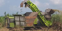 Zoomlion 190HP moissonneuse de canne à sucre à roues AC60B-E à vendre prix du tracteur