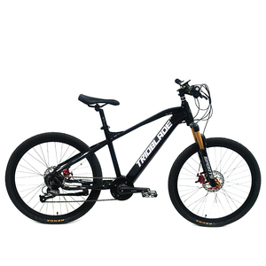 Bicicleta Eléctrica E-Bike 26 - Product Image 3