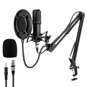 Yanmai — Microphone pliable à condensateur Q10, avec filtre, pour Studio Audio, avec bras d'enregistrement sonore