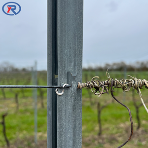 Poste de metal <span class=keywords><strong>para</strong></span> viñedo de 2.4m con ganchos, alta resistencia y tenacidad, <span class=keywords><strong>para</strong></span> viñedos de uva. - Product Image 2