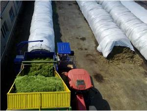 Sacs à ensilage 250 microns, directement de l'usine |   Sacs de silo en plastique anti-UV de 1,5 à 3,6 m, durée de vie de 18 <span class=keywords><strong>mois</strong></span> |   Meilleur prix pour le stockage du grain, de la paille et des aliments pour animaux - Product Image 1