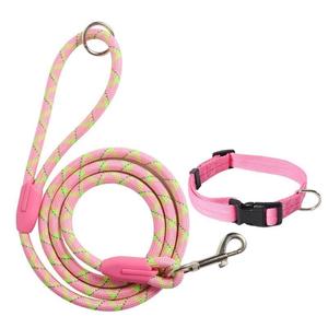 Correa de Perro de Diseño Personalizada 2026, de Nylon de Lujo, Ecológica, Resistente y Reflectante, con Cintas y Linterna, Cuerda Redonda para Diferentes Perros - Product Image 2