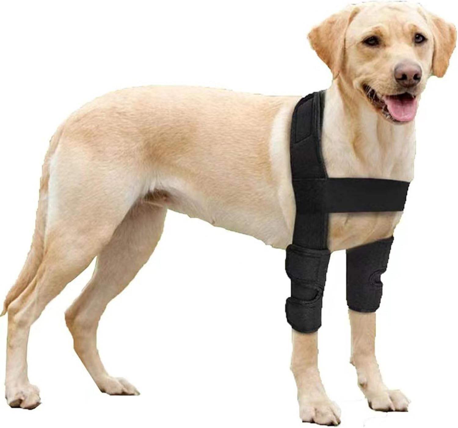 Compports Adjustable Custom Reduce Pain Muscle Sore Orthopedic Dog