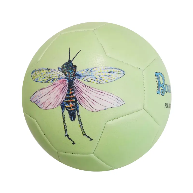 Cheap Football Soccer Ball Custom Match Recreational Training Size 5 Football Soccer Ball with cute insects images
