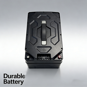 Delivery Tricycle <b>48V</b> 30Ah <b>Battery</b> Pack - Product Image 4