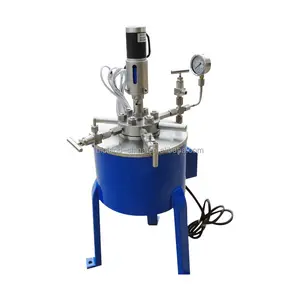 Autoclave de laboratoire à haute pression en acier inoxydable pour réacteur de laboratoire à acides forts et alcalins à vendre