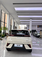 BYD Seagull 405KM Flying Edition 2026 Full Option Nouvelle Énergie Électrique Recharge Rapide Batterie Lithium Fer Phosphate Traction Avant En Stock