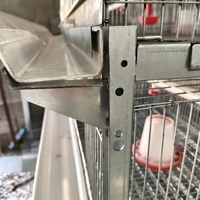 Cage d'élevage de poussins de type H, gain de place, entièrement automatique, galvanisée à chaud, 3/4 niveaux, pour élevage avicole