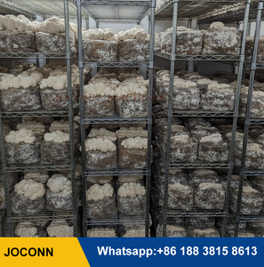 Machine d'emballage de substrat de champignons de bonne qualité avec vis sans fin résistante à l'usure pour le compost de champignons et l'emballage carré - Product Image 6