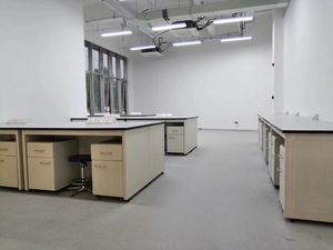 Лабораторный настенный стол-стойка LB-CF-12 с полками для реагентов, водопроводным краном и настенным шкафом - Product Image 2