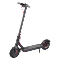 Microgo M5 Folding Fast Electric Scooter for Adult