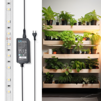 Bande lumineuse de culture étanche 2M IP65 24W Flexible Spectre Complet 4000K AC220V avec Minuteur pour Étagère Kit Complet pour Floraison OEM ODM Disponible