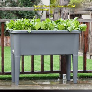 Fourniture directe d'usine grandes boîtes de plantation de balcon en plastique rectangulaires <span class=keywords><strong>à</strong></span> profil bas culture de légumes plateaux de pépinière couvercles - Product Image 2