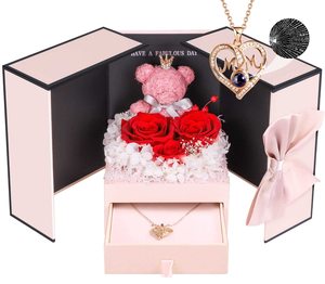 Regalos románticos <span class=keywords><strong>de</strong></span> San Valentín, rosas preservadas para siempre con collar <span class=keywords><strong>de</strong></span> plata esterlina regalos del Día <span class=keywords><strong>de</strong></span> la madre artículo <span class=keywords><strong>de</strong></span> regalo 2024 - Product Image 1