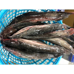 ผู้ส่งออกปลาดุก500-1000กรัม - Product Image 3