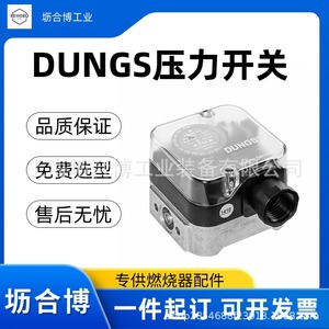 Interruptor de presión original Dungs GW3A5, montaje con brida, 3-50 mbar, disponible con declaración de aduana. - Product Image 4