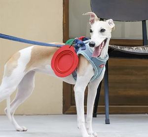 Mangkuk buah jeruk mewah desain ramah lingkungan silikon, mangkuk hewan peliharaan dapat dilipat, Anti tumpah makanan dan air untuk anjing dan kucing - Product Image 3