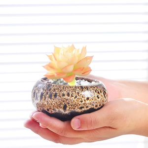 Petits pots en céramique de porcelaine émaillée au four, <span class=keywords><strong>mini</strong></span> pots pour <span class=keywords><strong>plantes</strong></span> <span class=keywords><strong>succulentes</strong></span>, pots à fleurs avec trou de drainage pour la maison, le bureau, le jardin, le bureau - Product Image 5