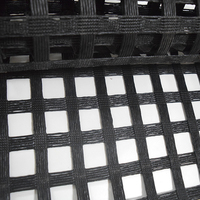 Geogrid de Poliéster Tejido por Urdimbre Reforzado para Muros de Contención y Refuerzo de Carreteras, Marca GEOROAD, Alta Resistencia a la Tracción 20-1000KN/m